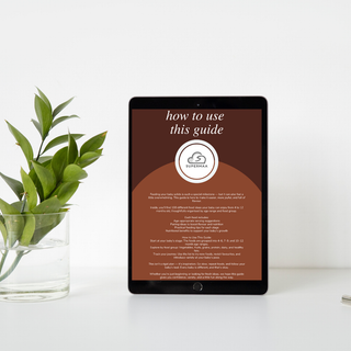 100 Baby Food Ideas 4-12 month olds (Digital Download)