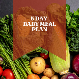 5 Day Meal Plan
